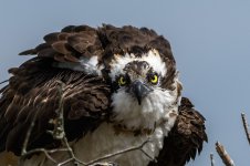 _DSC3565-Edit-2.jpg
