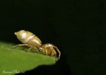 DSC_8679 - Version 5.jpg