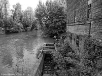 P5280373.jpg