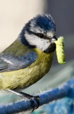 Feeding time.jpg