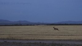 5-29-17-cr__7500325.jpg