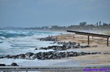 DSC_5568_001.JPG
