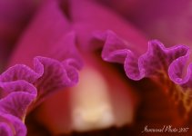 DSC_8722.jpg