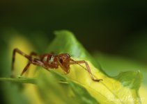 DSC_8565.jpg