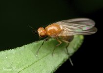 DSC_8718.jpg