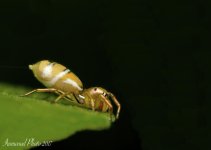 DSC_8679 - Version 5.jpg