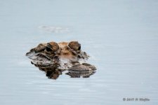 D73_0924-2.jpg