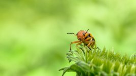 _DSC0407-Edit.jpg