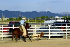 6-3-17-cr__7500904.jpg