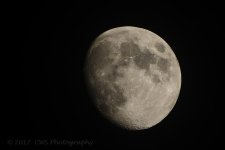 6-5-17-cr__D7K7134.jpg