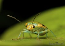 DSC_8927.jpg