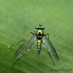 DSC_8438.jpg