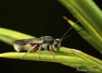 DSC_8901.jpg