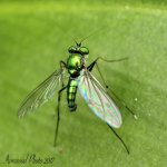 DSC_8907.jpg
