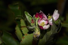 6-6-17-cr__7500942.jpg