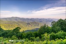6-3-2017 Blue Ridge Prkwy-1-3_3160CMA  1-11-17.JPG