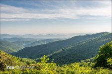 6-3-2017 Blue Ridge Prkwy-1-5_3162CMA  1-11-17.JPG