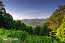 6-3-2017 Blue Ridge Prkwy-1-HDR 10_3167CMA  1-11-17.JPG