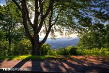 6-3-2017 Blue Ridge Prkwy-1-HDR 13_3188CMA  1-11-17.JPG