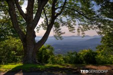 6-3-2017 Blue Ridge Prkwy-1-HDR 14_3171CMA  1-11-17.JPG