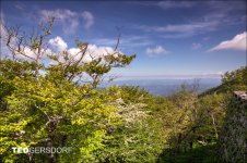 6-3-2017 Blue Ridge Prkwy-1-HDR 26_3182CMA  1-11-17.JPG