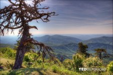 6-3-2017 Blue Ridge Prkwy-1-HDR 32_3185CMA  1-11-17.JPG