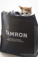 DSC_3404 low res.jpg