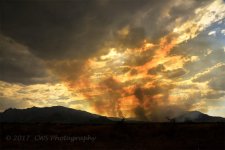 6-8-17-cr__7500961.jpg