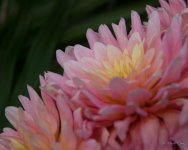 DSC_8883.jpg