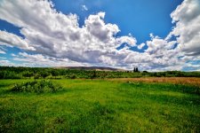 1-DSC_0978.jpg