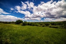 1-DSC_0987.jpg