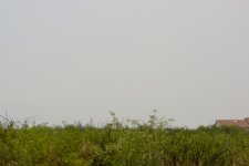 6-9-17-cr__D7K7186.jpg