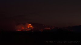 6-9-17-cr__7501033.jpg