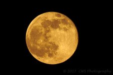 6-9-17-cr__D7K7200.jpg