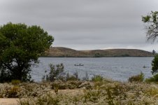 ROY_7039.JPG