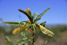 6-12-17-cr-TEST__7501075.jpg