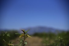 6-12-17-cr-TEST__7501077.jpg
