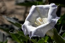 6-14-17-cr__D7K7222.jpg