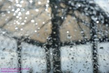 072 Roof in the Rain-130313-02_01.jpg