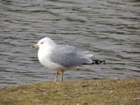 DSCN5632.jpg