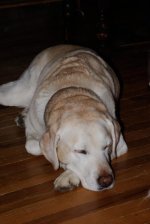 073 Jenny-130314_01.jpg