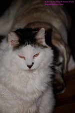 073 Spooky&Jenny-130314_01.jpg