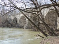 DSCN6443.jpg