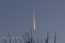 20130314-_1RB3308.jpg