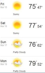 spring.JPG