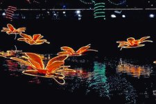 Untitled-1.jpg