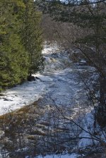 spring creek vertical.jpg