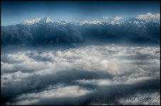 dsc_wlp-14.jpg