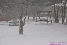 077 Snow-130318_01.jpg