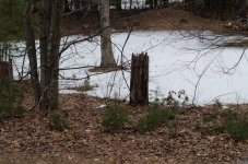 DSC_4934.jpg